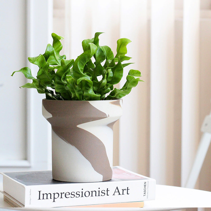 Clashing Ceramic Succulent Fern Planters