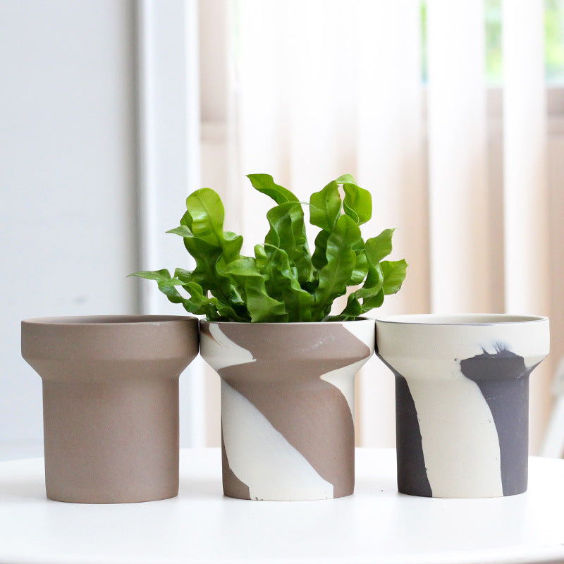Clashing Ceramic Succulent Fern Planters