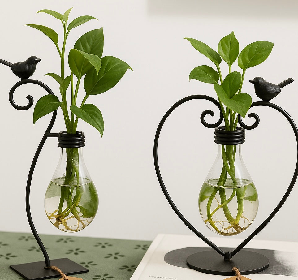 Hydroponic Plant Vessel Indoor Glass Planter Pot